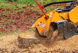 Best Lot and Land Clearing  in Mount Pleasant, SC